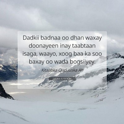Picture 07 - Luukos 6:19 SOM - Dadkii badnaa oo dhan waxay doonayeen inay - Bible Verse Picture