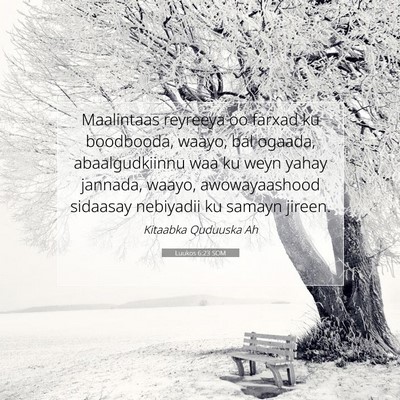 Picture 07 - Luukos 6:23 SOM - Maalintaas reyreeya oo farxad ku boodbooda, - Bible Verse Picture