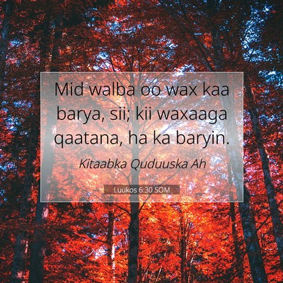 Picture 07 - Luukos 6:30 SOM - Mid walba oo wax kaa barya, sii; kii waxaaga - Bible Verse Picture