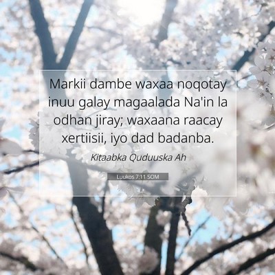 Picture 07 - Luukos 7:11 SOM - Markii dambe waxaa noqotay inuu galay magaalada - Bible Verse Picture