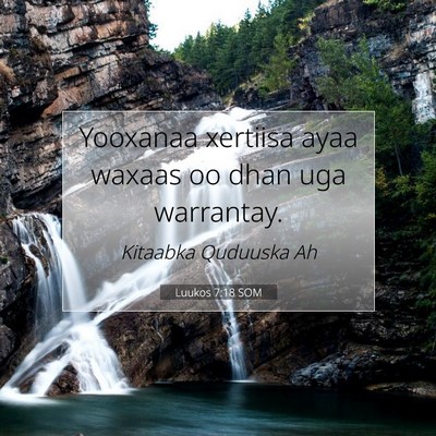 Picture 07 - Luukos 7:18 SOM - Yooxanaa xertiisa ayaa waxaas oo dhan uga - Bible Verse Picture