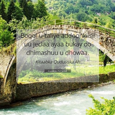 Picture 07 - Luukos 7:2 SOM - Boqol-u-taliye addoonkiisii uu jeclaa ayaa bukay - Bible Verse Picture