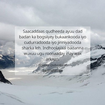 Picture 07 - Luukos 7:21 SOM - Saacaddaas qudheeda ayuu dad badan ka bogsiiyey - Bible Verse Picture