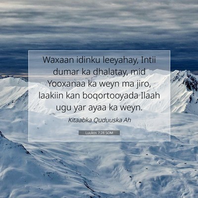 Picture 07 - Luukos 7:28 SOM - Waxaan idinku leeyahay, Intii dumar ka dhalatay, - Bible Verse Picture