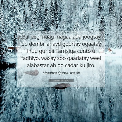 Picture 07 - Luukos 7:37 SOM - Bal eeg, naag magaalada joogtay oo dembi lahayd - Bible Verse Picture