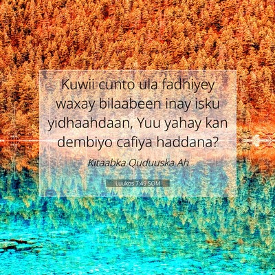 Picture 07 - Luukos 7:49 SOM - Kuwii cunto ula fadhiyey waxay bilaabeen inay - Bible Verse Picture
