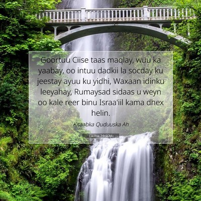 Picture 07 - Luukos 7:9 SOM - Goortuu Ciise taas maqlay, wuu ka yaabay, oo - Bible Verse Picture