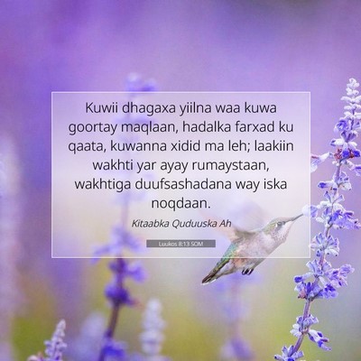 Picture 07 - Luukos 8:13 SOM - Kuwii dhagaxa yiilna waa kuwa goortay maqlaan, - Bible Verse Picture