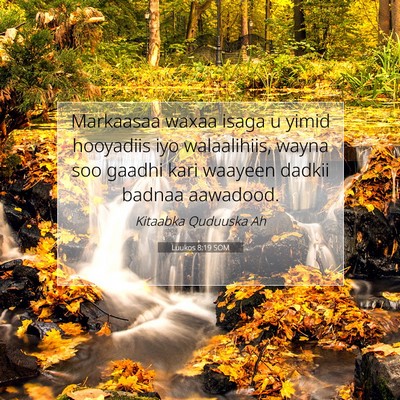 Picture 07 - Luukos 8:19 SOM - Markaasaa waxaa isaga u yimid hooyadiis iyo - Bible Verse Picture