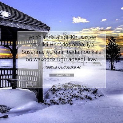 Picture 07 - Luukos 8:3 SOM - iyo Yo'anna afadii Khusas ee wakiilkii Herodos - Bible Verse Picture