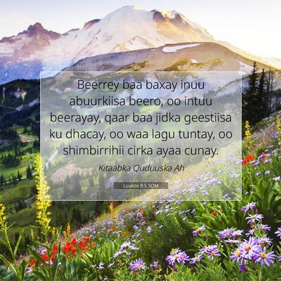 Picture 07 - Luukos 8:5 SOM - Beerrey baa baxay inuu abuurkiisa beero, oo intuu - Bible Verse Picture