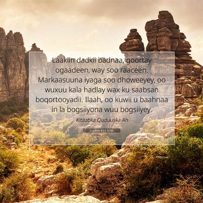 Picture 07 - Luukos 9:11 SOM - Laakiin dadkii badnaa, goortay ogaadeen, way soo - Bible Verse Picture