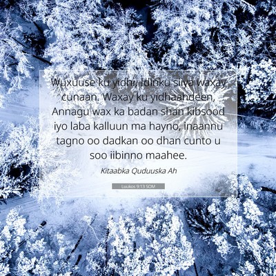 Picture 07 - Luukos 9:13 SOM - Wuxuuse ku yidhi, Idinku siiya waxay cunaan. - Bible Verse Picture