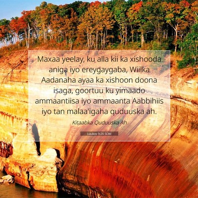 Picture 07 - Luukos 9:26 SOM - Maxaa yeelay, ku alla kii ka xishooda aniga iyo - Bible Verse Picture