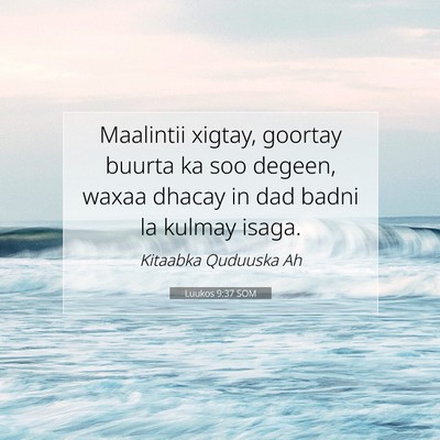 Picture 07 - Luukos 9:37 SOM - Maalintii xigtay, goortay buurta ka soo degeen, - Bible Verse Picture