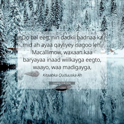 Picture 07 - Luukos 9:38 SOM - Oo bal eeg, nin dadkii badnaa ka mid ah ayaa - Bible Verse Picture