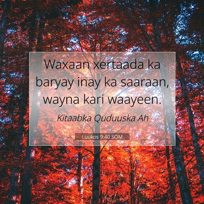 Picture 07 - Luukos 9:40 SOM - Waxaan xertaada ka baryay inay ka saaraan, wayna - Bible Verse Picture