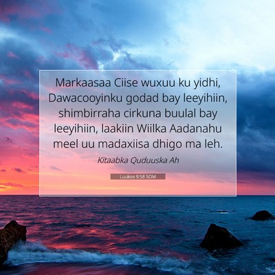 Picture 07 - Luukos 9:58 SOM - Markaasaa Ciise wuxuu ku yidhi, Dawacooyinku - Bible Verse Picture