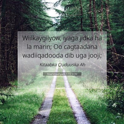 Picture 07 - Maahmaahyadii 1:15 SOM - Wiilkaygiiyow, iyaga jidka ha la marin; Oo - Bible Verse Picture