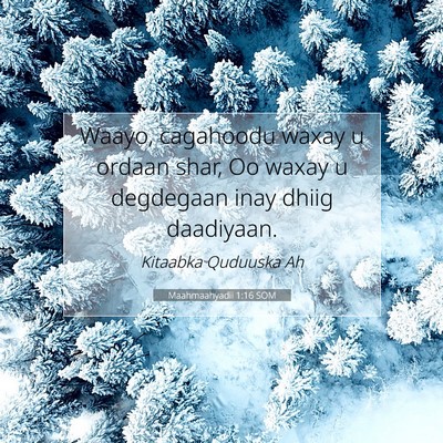 Picture 07 - Maahmaahyadii 1:16 SOM - Waayo, cagahoodu waxay u ordaan shar, Oo waxay u - Bible Verse Picture