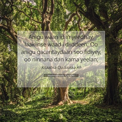 Picture 07 - Maahmaahyadii 1:24 SOM - Anigu waan idiin yeedhay, laakiinse waad i - Bible Verse Picture