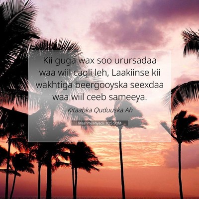 Picture 07 - Maahmaahyadii 10:5 SOM - Kii guga wax soo urursadaa waa wiil caqli leh, - Bible Verse Picture