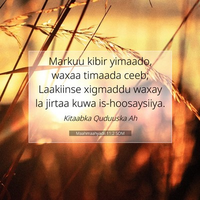 Picture 07 - Maahmaahyadii 11:2 SOM - Markuu kibir yimaado, waxaa timaada ceeb; - Bible Verse Picture