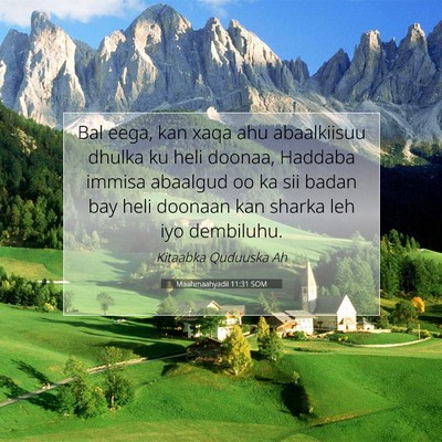Picture 07 - Maahmaahyadii 11:31 SOM - Bal eega, kan xaqa ahu abaalkiisuu dhulka ku heli - Bible Verse Picture