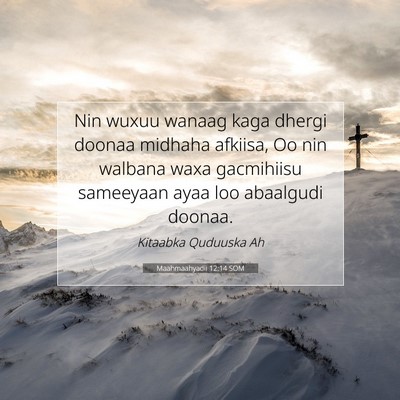 Picture 07 - Maahmaahyadii 12:14 SOM - Nin wuxuu wanaag kaga dhergi doonaa midhaha - Bible Verse Picture