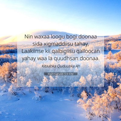Picture 07 - Maahmaahyadii 12:8 SOM - Nin waxaa loogu bogi doonaa sida xigmaddiisu - Bible Verse Picture