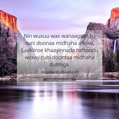 Picture 07 - Maahmaahyadii 13:2 SOM - Nin wuxuu wax wanaagsan ku cuni doonaa midhaha - Bible Verse Picture