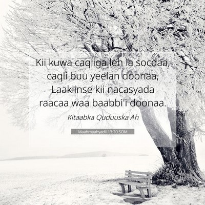 Picture 07 - Maahmaahyadii 13:20 SOM - Kii kuwa caqliga leh la socdaa, caqli buu yeelan - Bible Verse Picture