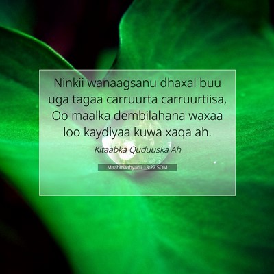 Picture 07 - Maahmaahyadii 13:22 SOM - Ninkii wanaagsanu dhaxal buu uga tagaa carruurta - Bible Verse Picture