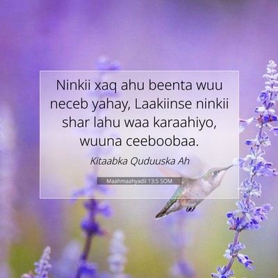 Picture 07 - Maahmaahyadii 13:5 SOM - Ninkii xaq ahu beenta wuu neceb yahay, Laakiinse - Bible Verse Picture