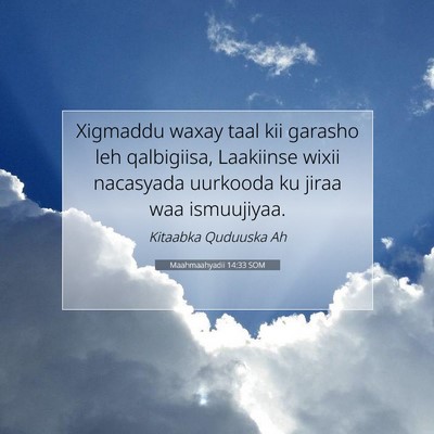 Picture 07 - Maahmaahyadii 14:33 SOM - Xigmaddu waxay taal kii garasho leh qalbigiisa, - Bible Verse Picture