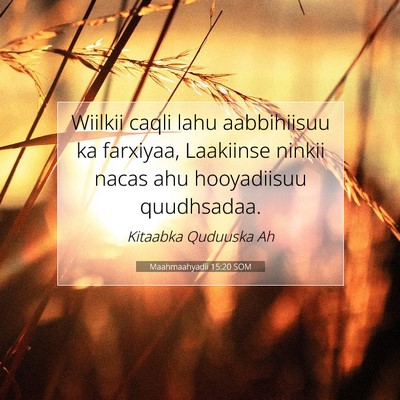 Picture 07 - Maahmaahyadii 15:20 SOM - Wiilkii caqli lahu aabbihiisuu ka farxiyaa, - Bible Verse Picture