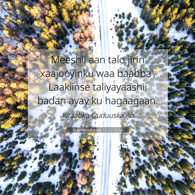 Picture 07 - Maahmaahyadii 15:22 SOM - Meeshii aan talo jirin xaajooyinku waa baabba', - Bible Verse Picture