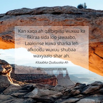 Picture 07 - Maahmaahyadii 15:28 SOM - Kan xaqa ah qalbigiisu wuxuu ka fikiraa sida loo - Bible Verse Picture
