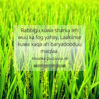Picture 07 - Maahmaahyadii 15:29 SOM - Rabbigu kuwa sharka leh wuu ka fog yahay, - Bible Verse Picture
