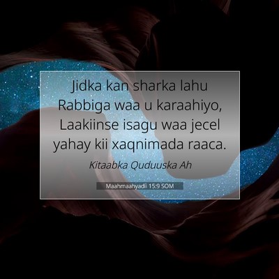 Picture 07 - Maahmaahyadii 15:9 SOM - Jidka kan sharka lahu Rabbiga waa u karaahiyo, - Bible Verse Picture
