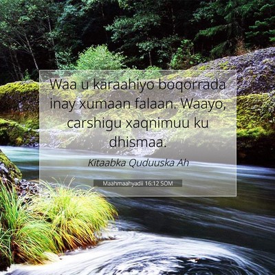 Picture 07 - Maahmaahyadii 16:12 SOM - Waa u karaahiyo boqorrada inay xumaan falaan. - Bible Verse Picture