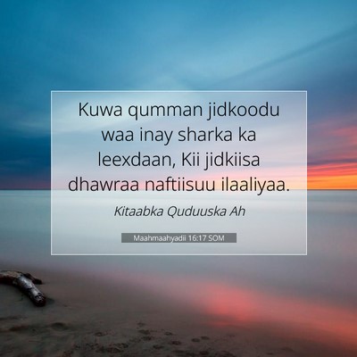 Picture 07 - Maahmaahyadii 16:17 SOM - Kuwa qumman jidkoodu waa inay sharka ka leexdaan, - Bible Verse Picture