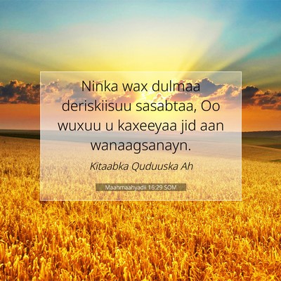 Picture 07 - Maahmaahyadii 16:29 SOM - Ninka wax dulmaa deriskiisuu sasabtaa, Oo wuxuu u - Bible Verse Picture