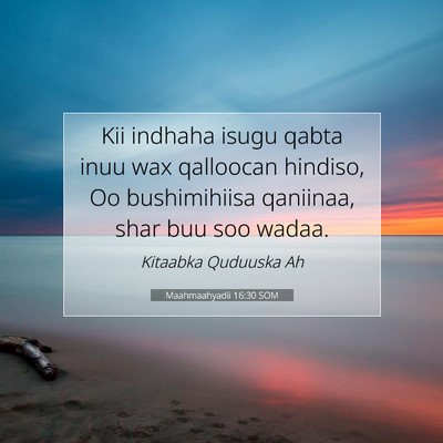 Picture 07 - Maahmaahyadii 16:30 SOM - Kii indhaha isugu qabta inuu wax qalloocan - Bible Verse Picture