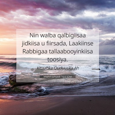 Picture 07 - Maahmaahyadii 16:9 SOM - Nin walba qalbigiisaa jidkiisa u fiirsada, - Bible Verse Picture