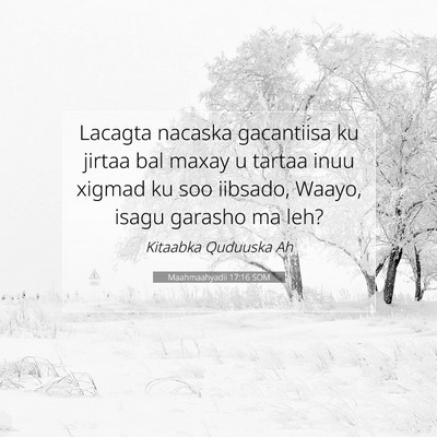 Picture 07 - Maahmaahyadii 17:16 SOM - Lacagta nacaska gacantiisa ku jirtaa bal maxay u - Bible Verse Picture