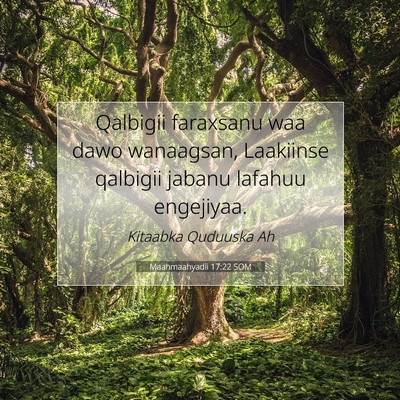 Picture 07 - Maahmaahyadii 17:22 SOM - Qalbigii faraxsanu waa dawo wanaagsan, Laakiinse - Bible Verse Picture