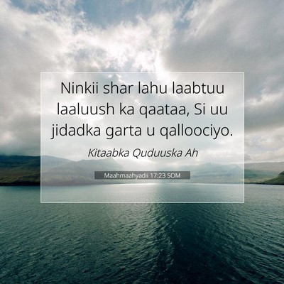 Picture 07 - Maahmaahyadii 17:23 SOM - Ninkii shar lahu laabtuu laaluush ka qaataa, Si - Bible Verse Picture