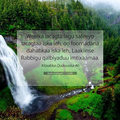 Picture 07 - Maahmaahyadii 17:3 SOM - Weelka lacagta lagu safeeyo lacagtaa iska leh, oo - Bible Verse Picture
