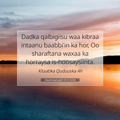 Picture 07 - Maahmaahyadii 18:12 SOM - Dadka qalbigiisu waa kibraa intaanu baabbi'in ka - Bible Verse Picture